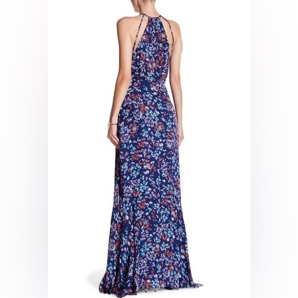 Parker Sweet Pea Maxi Dress - Picture 2 of 4